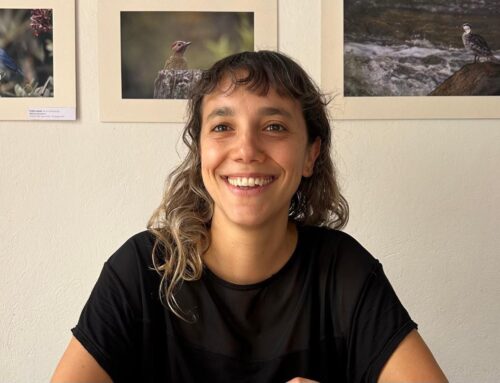 Ana Mustafa